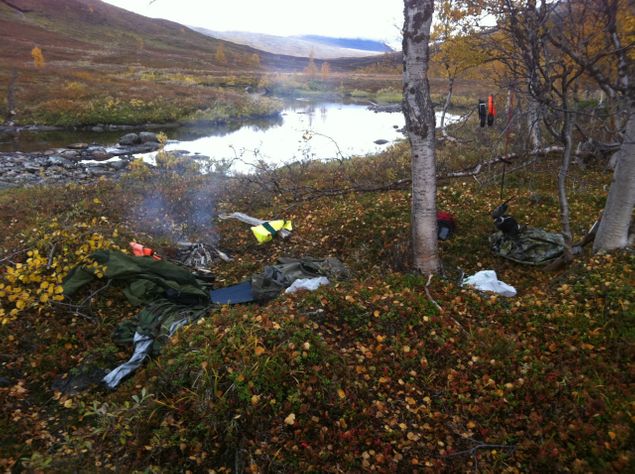 Da er det definitiv høst og vi gleder oss!  Først blir det jaktprøver på Bine og Patrika i Tromsø og Midt-Troms.  Vi håper på Derbybilett og Derbytur på Bine.  